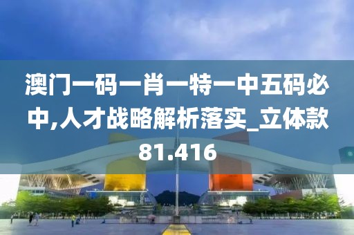 澳门一码一肖一特一中五码必中,人才战略解析落实_立体款81.416