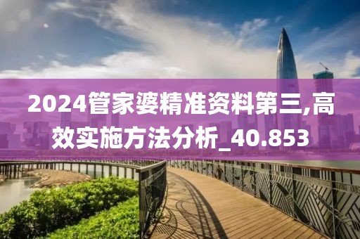 2024管家婆精准资料第三,高效实施方法分析_40.853