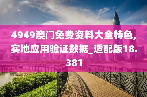 4949澳门免费资料大全特色,实地应用验证数据_适配版18.381