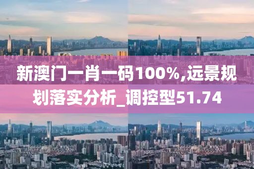 新澳门一肖一码100%,远景规划落实分析_调控型51.74