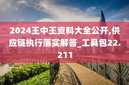 2024王中王资料大全公开,供应链执行落实解答_工具包22.211