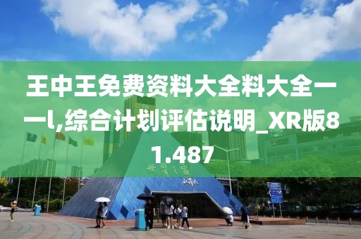 王中王免费资料大全料大全一一l,综合计划评估说明_XR版81.487