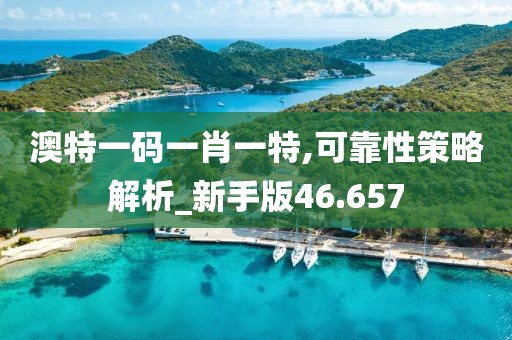 澳特一码一肖一特,可靠性策略解析_新手版46.657