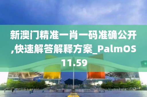 新澳门精准一肖一码准确公开,快速解答解释方案_PalmOS11.59