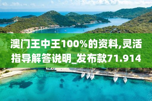 澳门王中王100%的资料,灵活指导解答说明_发布款71.914