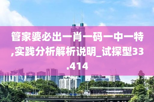 管家婆必出一肖一码一中一特,实践分析解析说明_试探型33.414