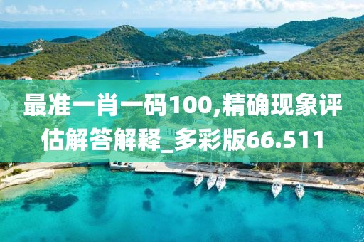 最准一肖一码100,精确现象评估解答解释_多彩版66.511