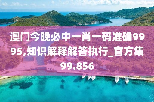 澳门今晚必中一肖一码准确9995,知识解释解答执行_官方集99.856