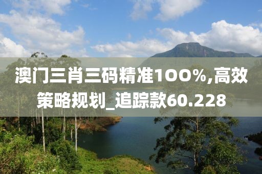 澳门三肖三码精准1OO%,高效策略规划_追踪款60.228