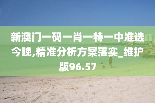 新澳门一码一肖一特一中准选今晚,精准分析方案落实_维护版96.57