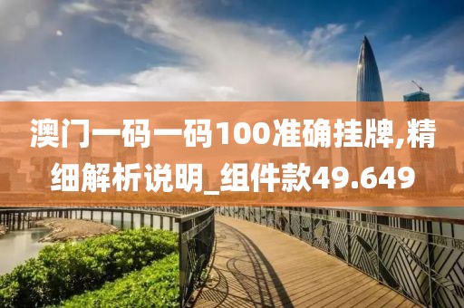 澳门一码一码100准确挂牌,精细解析说明_组件款49.649