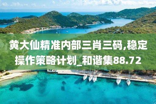 黄大仙精准内部三肖三码,稳定操作策略计划_和谐集88.72