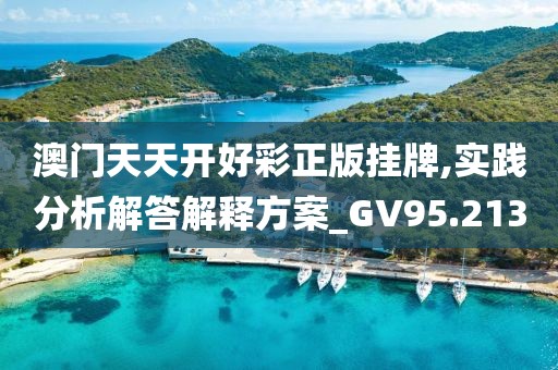 澳门天天开好彩正版挂牌,实践分析解答解释方案_GV95.213