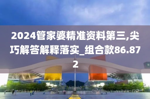 2024管家婆精准资料第三,尖巧解答解释落实_组合款86.872