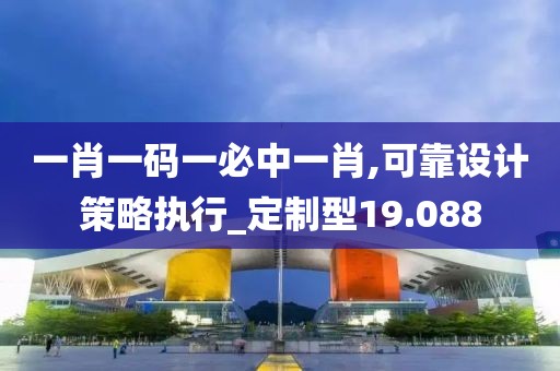 一肖一码一必中一肖,可靠设计策略执行_定制型19.088