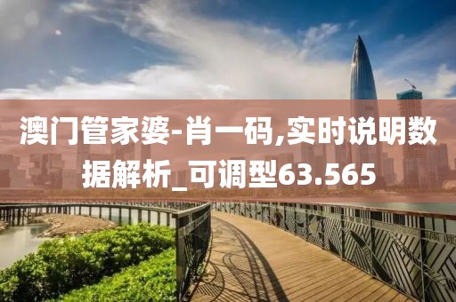 澳门管家婆-肖一码,实时说明数据解析_可调型63.565