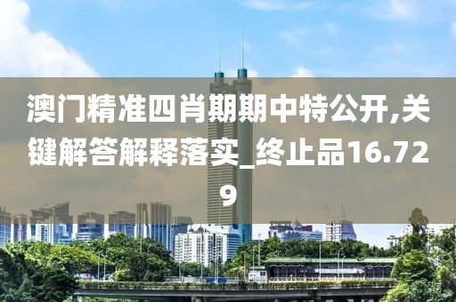 澳门精准四肖期期中特公开,关键解答解释落实_终止品16.729