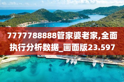 7777788888管家婆老家,全面执行分析数据_画面版23.597