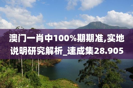 澳门一肖中100%期期准,实地说明研究解析_速成集28.905