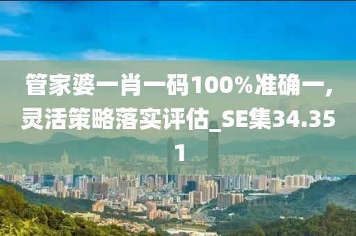 管家婆一肖一码100%准确一,灵活策略落实评估_SE集34.351