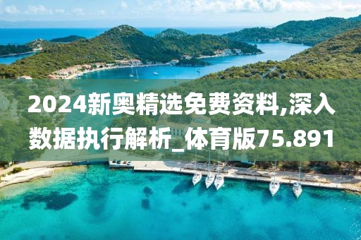 2024新奥精选免费资料,深入数据执行解析_体育版75.891