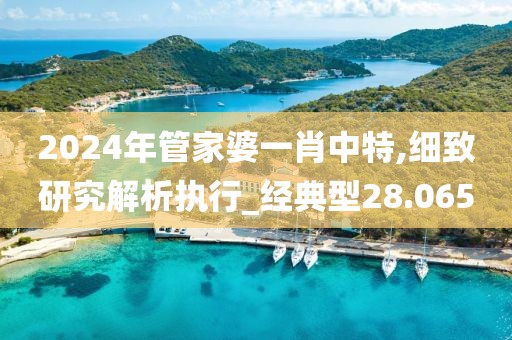 2024年管家婆一肖中特,细致研究解析执行_经典型28.065