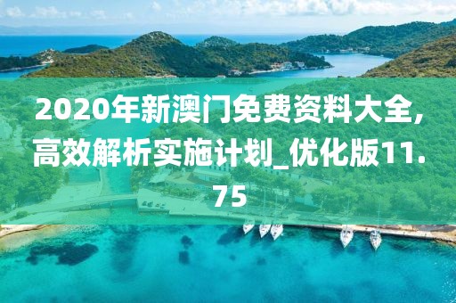 2020年新澳门免费资料大全,高效解析实施计划_优化版11.75