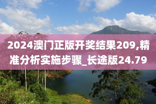 2024澳门正版开奖结果209,精准分析实施步骤_长途版24.79