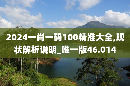 2024一肖一码100精准大全,现状解析说明_唯一版46.014