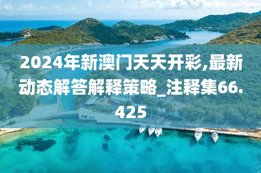 2024年新澳门天天开彩,最新动态解答解释策略_注释集66.425