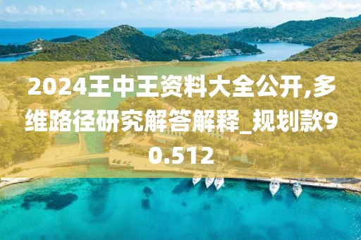 2024王中王资料大全公开,多维路径研究解答解释_规划款90.512