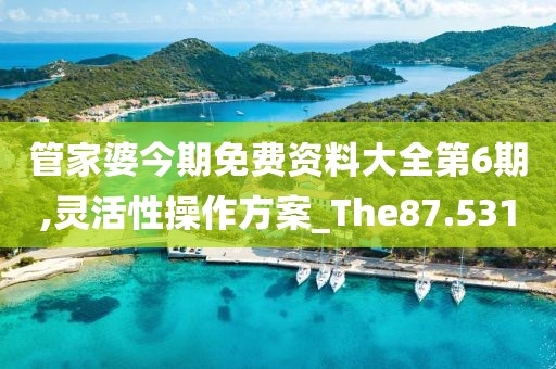 管家婆今期免费资料大全第6期,灵活性操作方案_The87.531