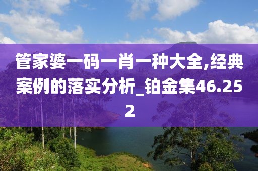 管家婆一码一肖一种大全,经典案例的落实分析_铂金集46.252