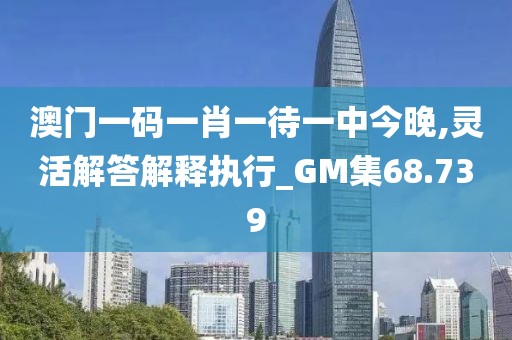 澳门一码一肖一待一中今晚,灵活解答解释执行_GM集68.739