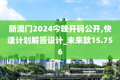 新澳门2024今晚开码公开,快速计划解答设计_未来款15.756