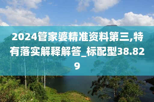 2024管家婆精准资料第三,特有落实解释解答_标配型38.829