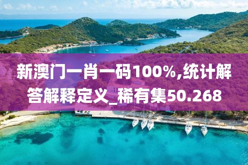 新澳门一肖一码100%,统计解答解释定义_稀有集50.268