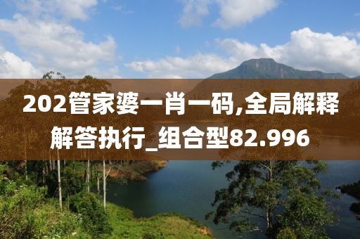 202管家婆一肖一码,全局解释解答执行_组合型82.996