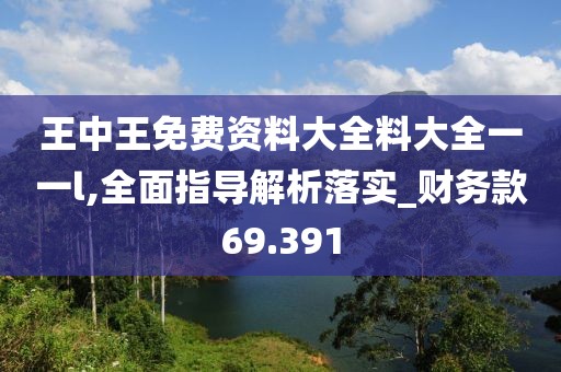 王中王免费资料大全料大全一一l,全面指导解析落实_财务款69.391