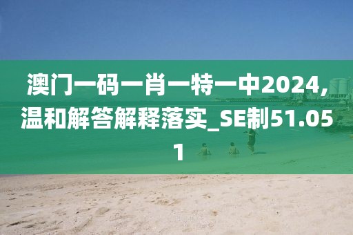 澳门一码一肖一特一中2024,温和解答解释落实_SE制51.051