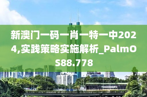 新澳门一码一肖一特一中2024,实践策略实施解析_PalmOS88.778