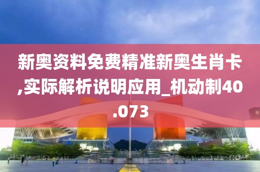 新奥资料免费精准新奥生肖卡,实际解析说明应用_机动制40.073