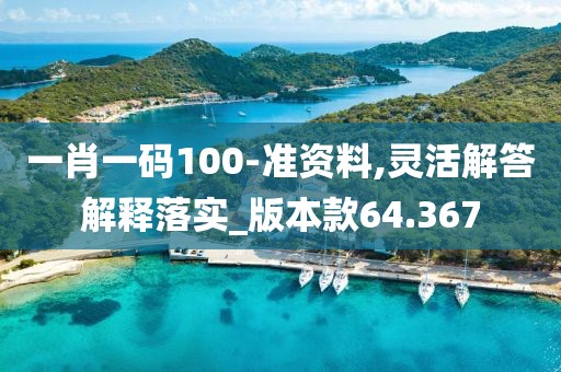 一肖一码100-准资料,灵活解答解释落实_版本款64.367