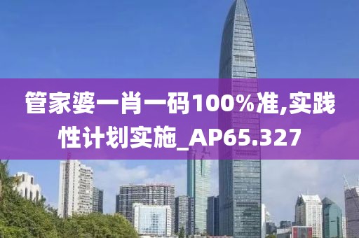 管家婆一肖一码100%准,实践性计划实施_AP65.327