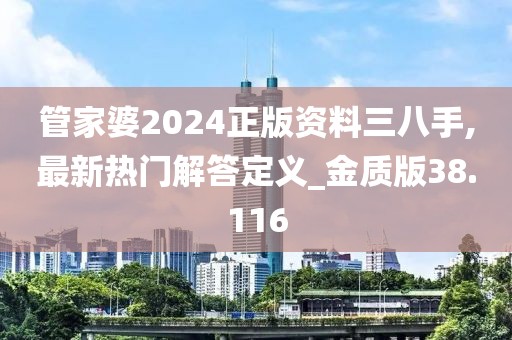 管家婆2024正版资料三八手,最新热门解答定义_金质版38.116