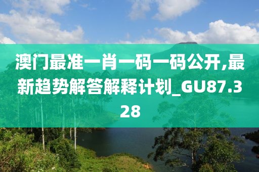 澳门最准一肖一码一码公开,最新趋势解答解释计划_GU87.328