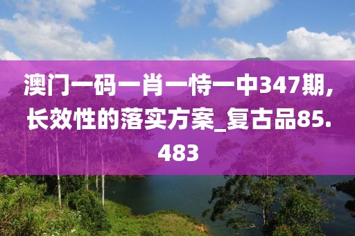 澳门一码一肖一恃一中347期,长效性的落实方案_复古品85.483