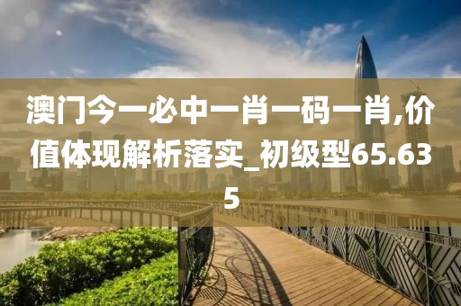 澳门今一必中一肖一码一肖,价值体现解析落实_初级型65.635