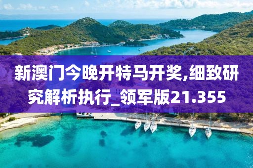 新澳门今晚开特马开奖,细致研究解析执行_领军版21.355