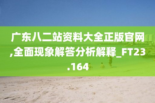 广东八二站资料大全正版官网,全面现象解答分析解释_FT23.164